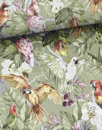 Papageien 348x445 - 0,5m leichter Baumwolljersey mit hübsche Vögel - Papagei Kakadu Wellensichttich Ara - Frauen und Mädchen Kinderstoff mit Tiere - Damen und Mädchen Jersey Stoff – Digital – Ökotex