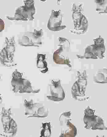 0,5m Baumwollstoff mit Tiere – süße Katzen für Mädchen und Damen – Digital – Ökotex