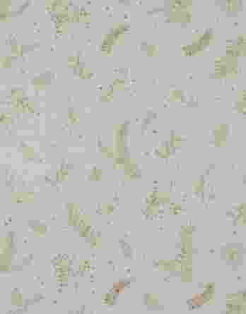 0,5m fester Canvas Baumwollstoff mit Blätter und Zweige – gold off white weiß – Christmas Winter Weihnachtsstoff – Weihnachten Home – Ökotex