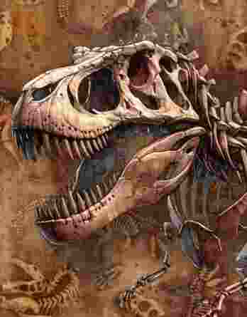 40x50cm French Terry / Sommersweat Stoff Panel mit einem Kopf von einem Dino Skelett auf braun – Wildtiere Sweat Panelstoff – Dinosaurier Stoffe zum Nähen für Jungen – Digitaldruck – Ökotex – Dinoliebe 40x50cm French Terry / Sommersweat Stoff Panel mit einem Kopf von einem Dino Skelett auf braun – Wildtiere Sweat Panelstoff – Dinosaurier Stoffe zum Nähen für Jungen – Digitaldruck – Ökotex – Dinoliebe